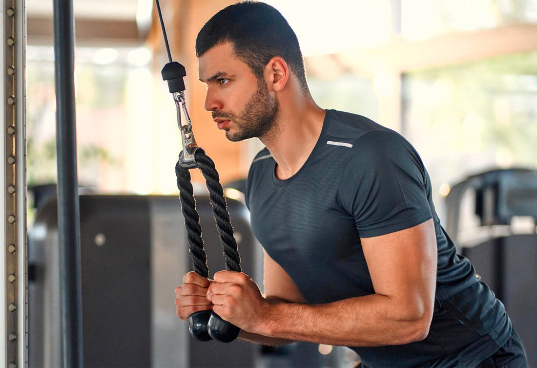 Testosterone Booster Enhance Vitality and Strength