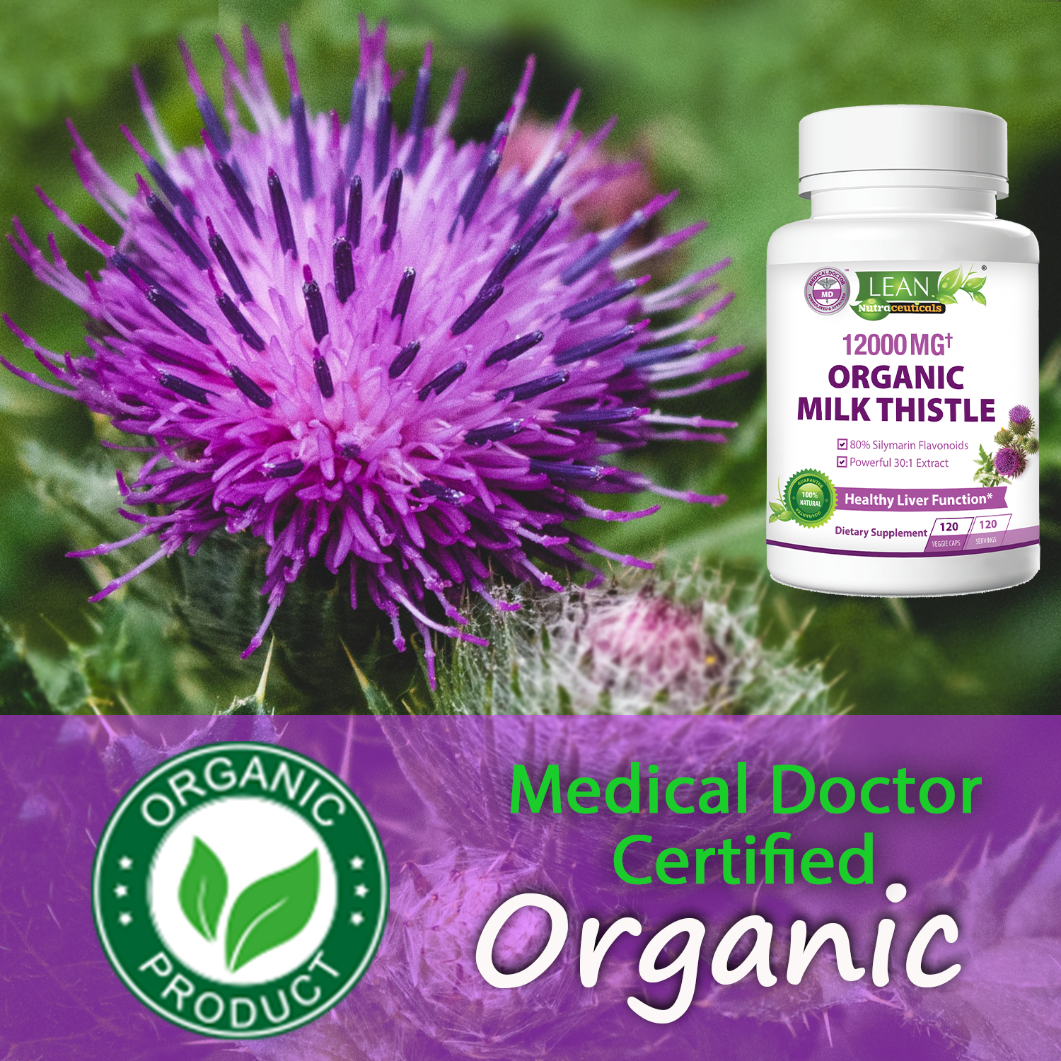 Medical Doctor Certified Organic Milk Thistle Dietary Supplement Veggie Capsules for Liver Detox Cleanse and Repair from Damage and Disease