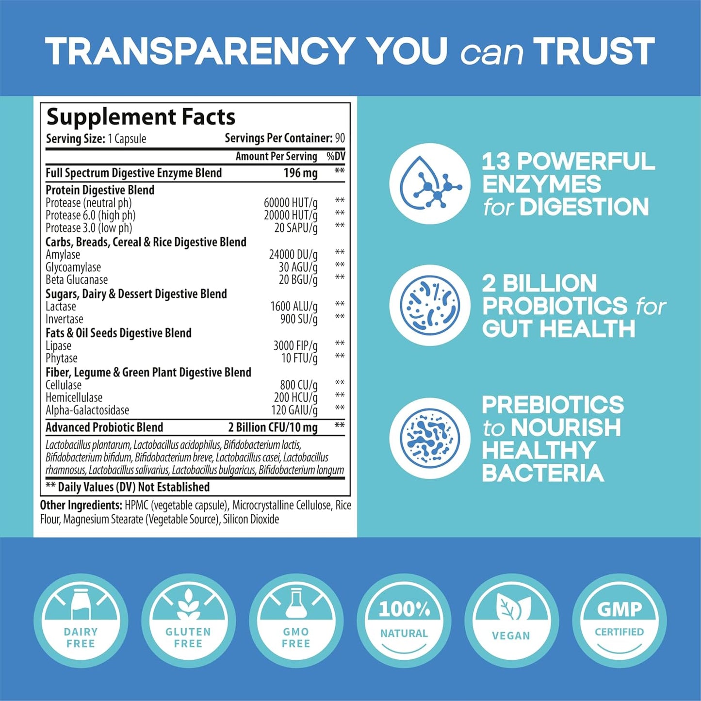 MD Certified Digestive Enzyme Supplements Plus 2 Billion Probiotics Plant Based Scientifically Formulated with 13 Enzymes