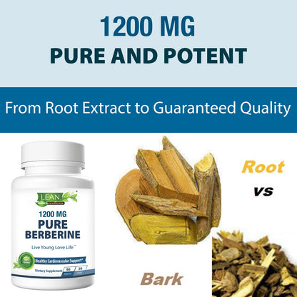 1200mg pure potent berberine supplement from root extract for lower blood sugar levels and heart health while aging or becoming overweight 