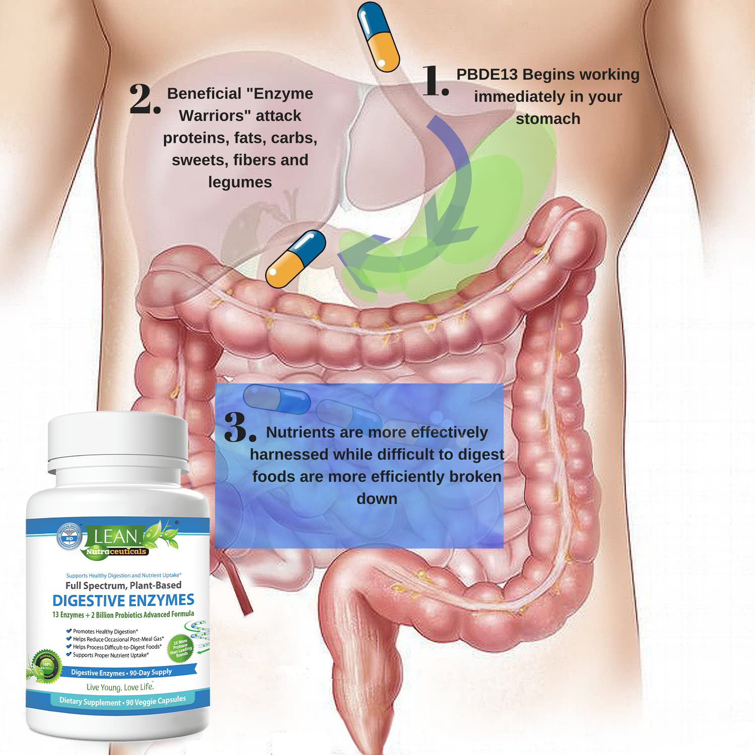 benefits of enzymes for gut health bloating relief bad breath constipation issue IBS support digestion aid