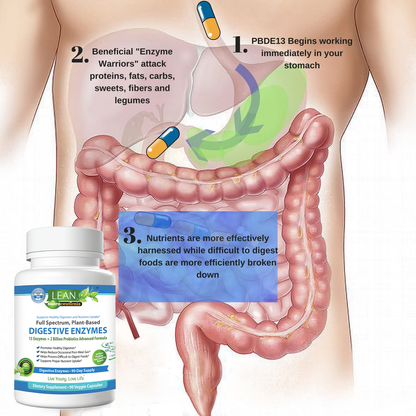 benefits of enzymes for gut health bloating relief bad breath constipation issue IBS support digestion aid