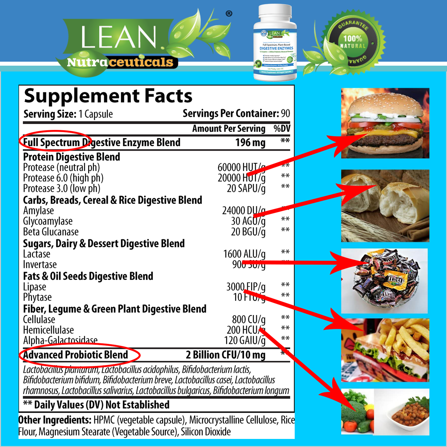 natural remedy plant based supplement of digestive enzymes to process full spectrum carbs legume protein fats oil seeds sugar dairy desserts fiber gree plants